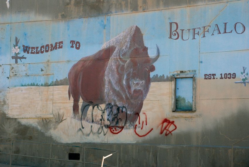 Bison mural in Buffalo defaced with spray paint | Buffalo Reflex